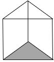 TS vi math 3D and 2D shapes 6