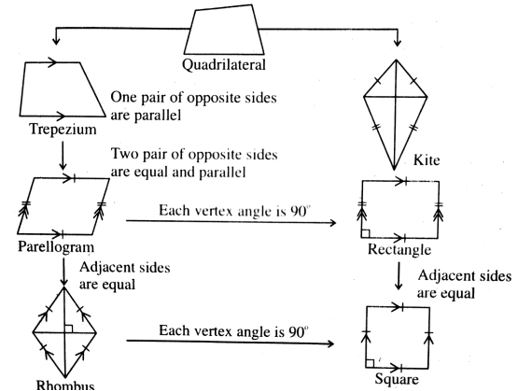 properties of quadrilatral