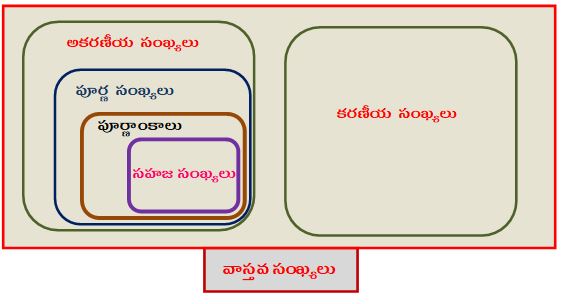 వాస్తవ సంఖ్యలు 
