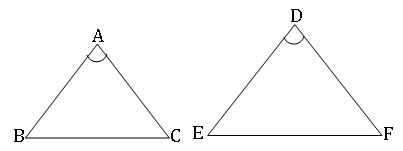 ICSE X Maths Similarity of Triangles 3