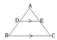 ICSE X Maths Similarity of Triangles 5